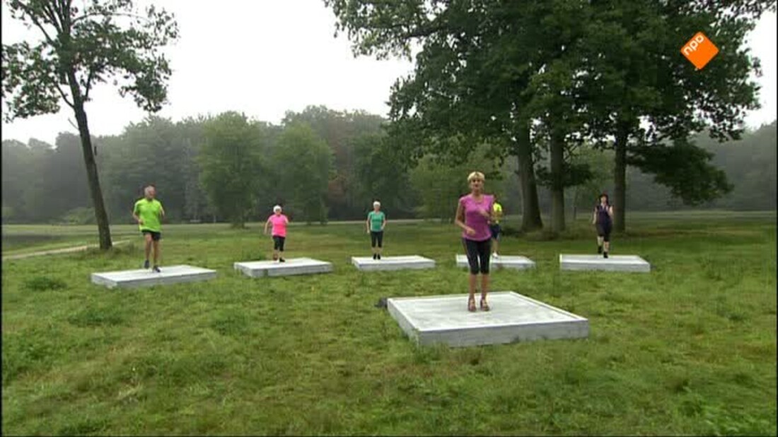 Nederland in Beweging